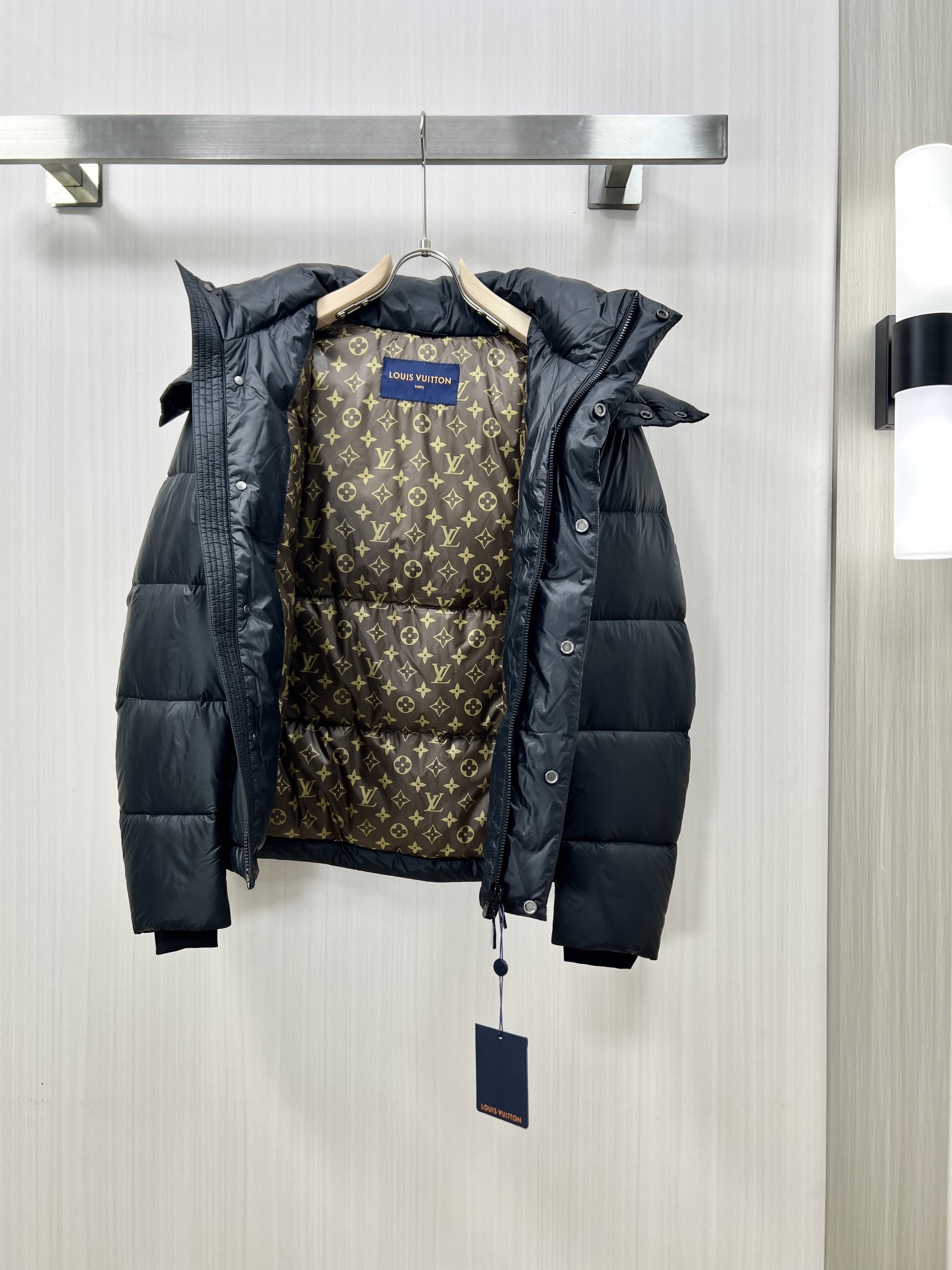 Louis Vuitton Down Jackets